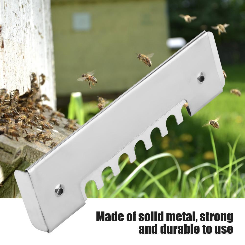 Details about   10pcs Stainless Steel Hive Entrance Nest Gate Door Beekeeping Equipment Bee 